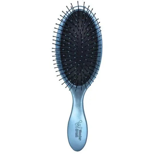 Wonder Brush Wet and Dry