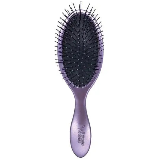 Wonder Brush Wet and Dry