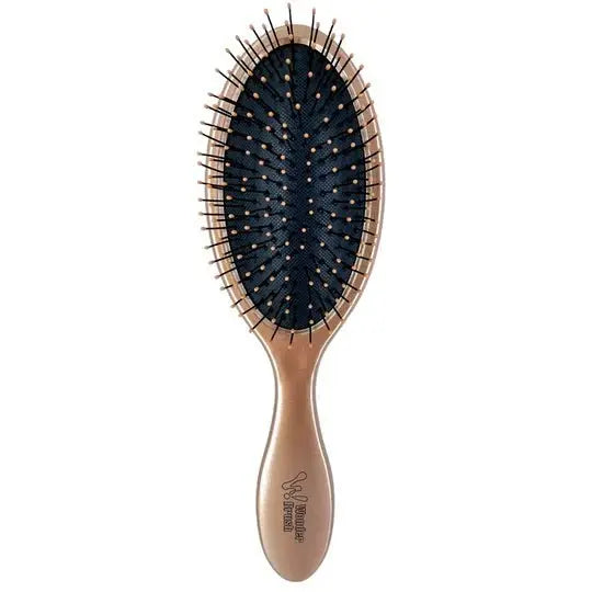 Wonder Brush Wet and Dry